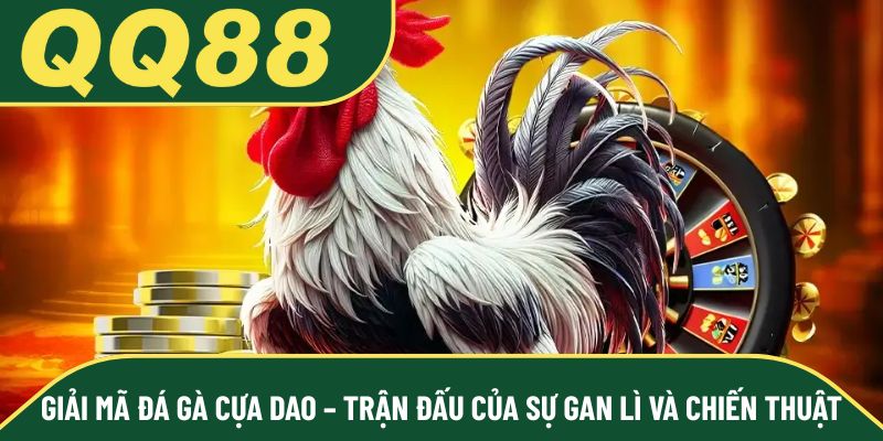 Giải mã đá gà cựa dao – Trận đấu của sự gan lì và chiến thuật